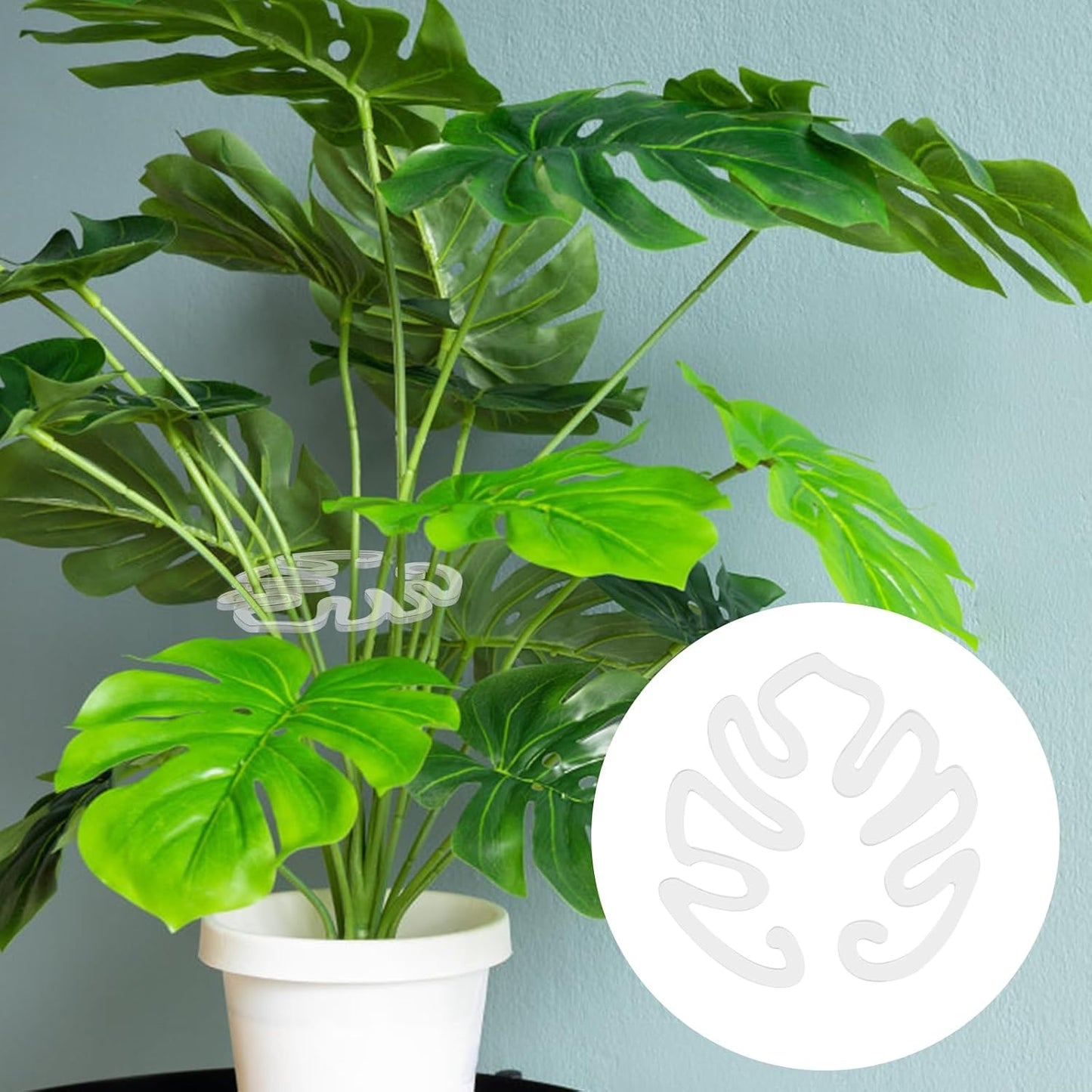 Transparent akrylväxtpåke i form av ett Monsterablad | Osynligt stjälkstöd för krukväxter inomhus 🌿