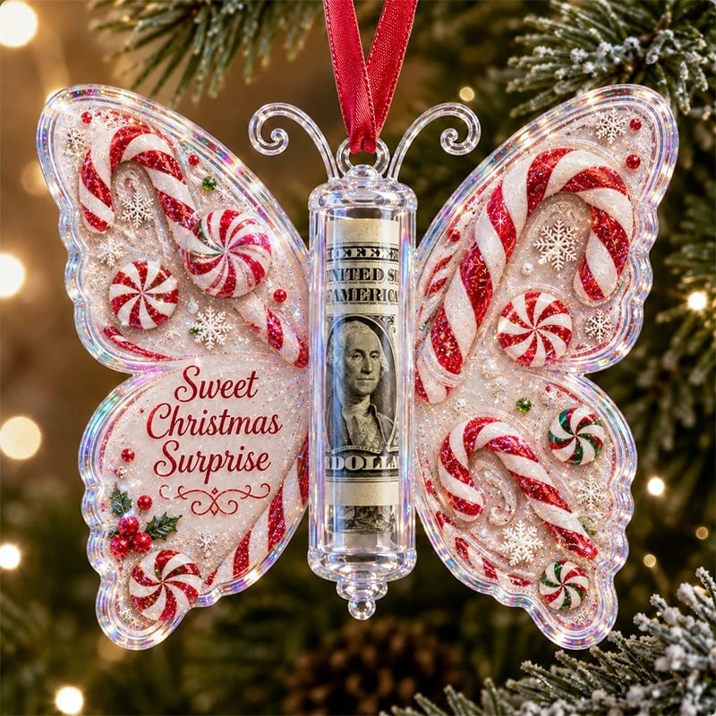 🦋💵 Julklapp med fjärilsdekoration – Pengahållare till jul som minne 🎄✨