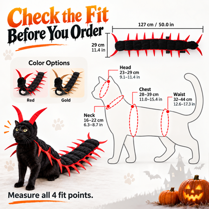🎃 Obehaglig-Söt Halloween Tusenfotingskostym – 3D Krypande Dräkt för Hundar och Katter 🐾