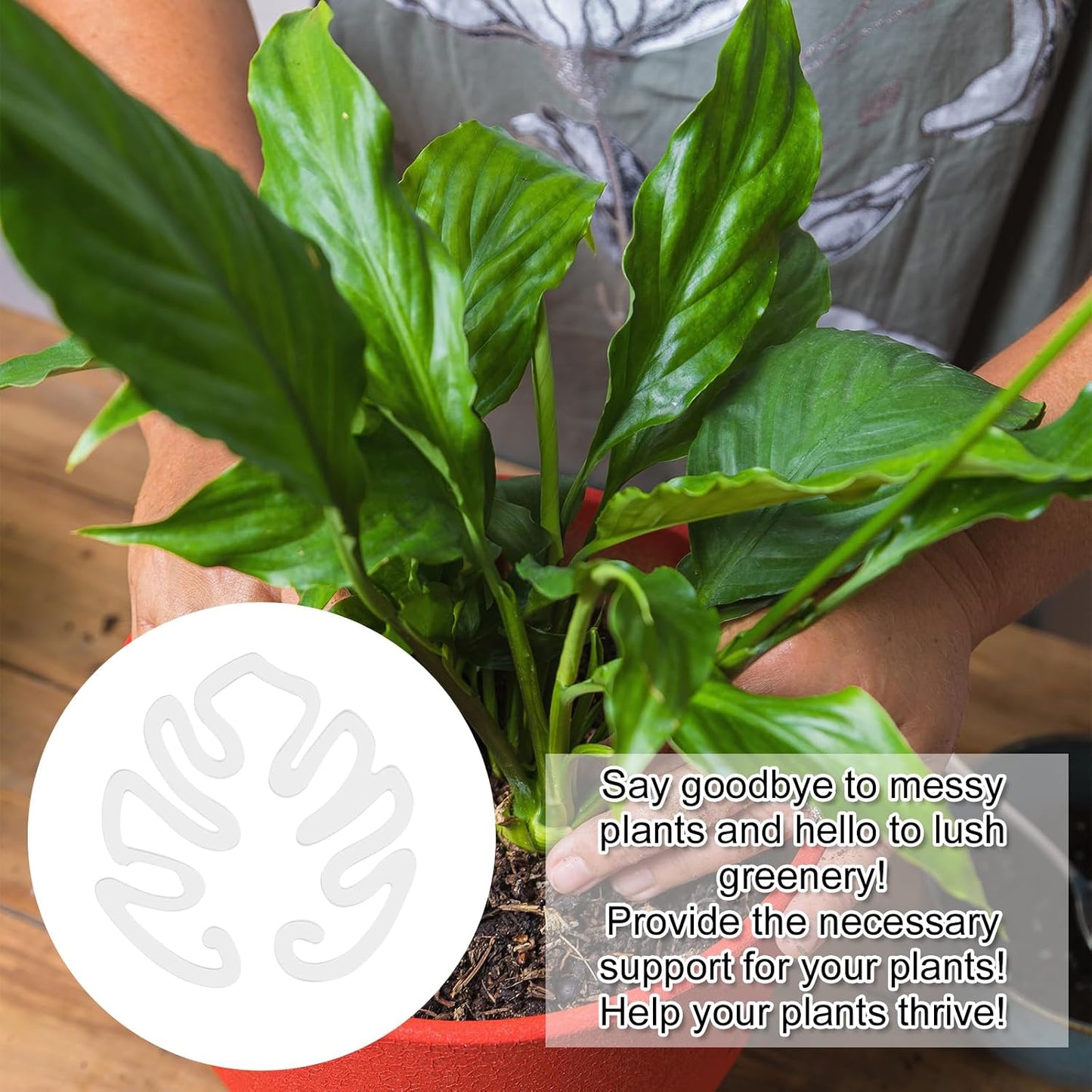 Transparent akrylväxtpåke i form av ett Monsterablad | Osynligt stjälkstöd för krukväxter inomhus 🌿